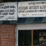podróż na Sri Lankę, Jaffna