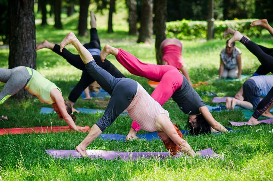 Hatha Joga w Poznaniu - Yoga Academy