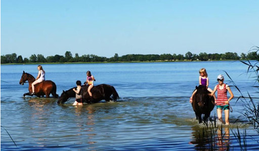Joanna Jedynak lato z jogą Zagroda Kuwasy nad Biebrzą 2018