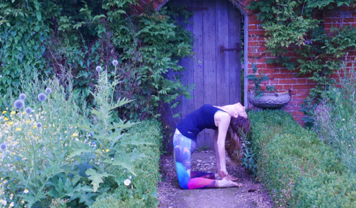 Joga Balans jogowe rozpieszczanie warszta ashtanga jogi koło warszawy
