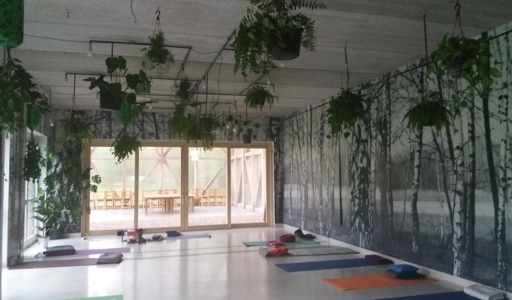 Happy Yoga Irena Kertyczak