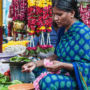 Mysore - kolory południowych Indii - Feeria barw i doznań