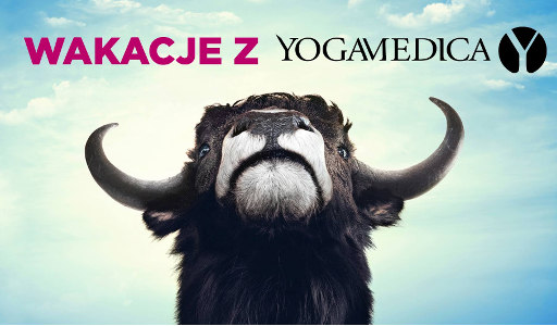 Yoga Medica: Kręgosłup wolny od bólu wakacyjny wyjazd wakacje z jogą 2018 (k. Puszczy Białowieskiej) Bartosz Niedaszkowski