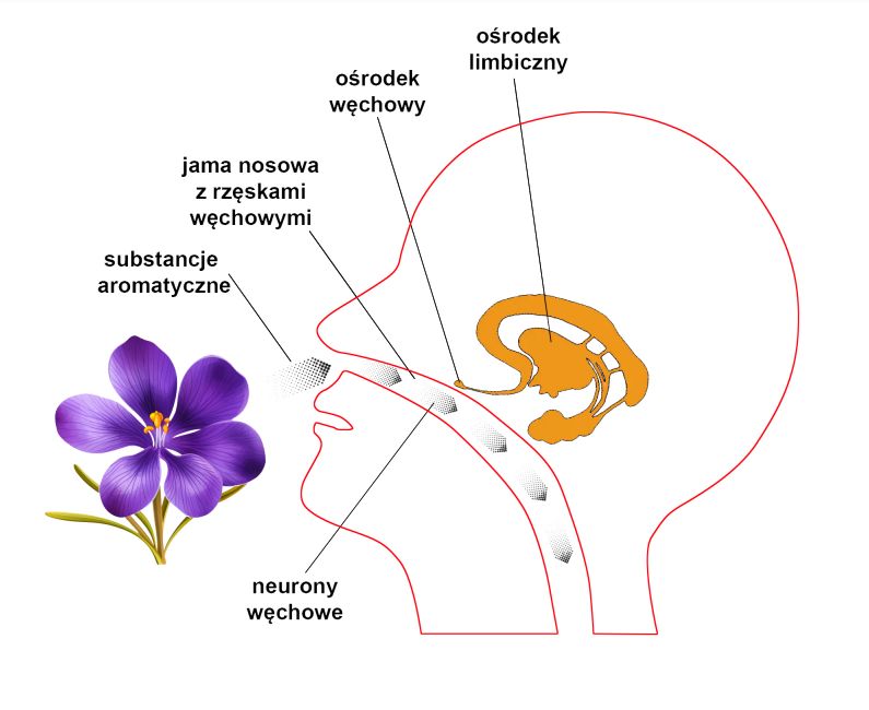 aromaterapia na stres, naturalne sposoby na relaks, olejki eteryczne